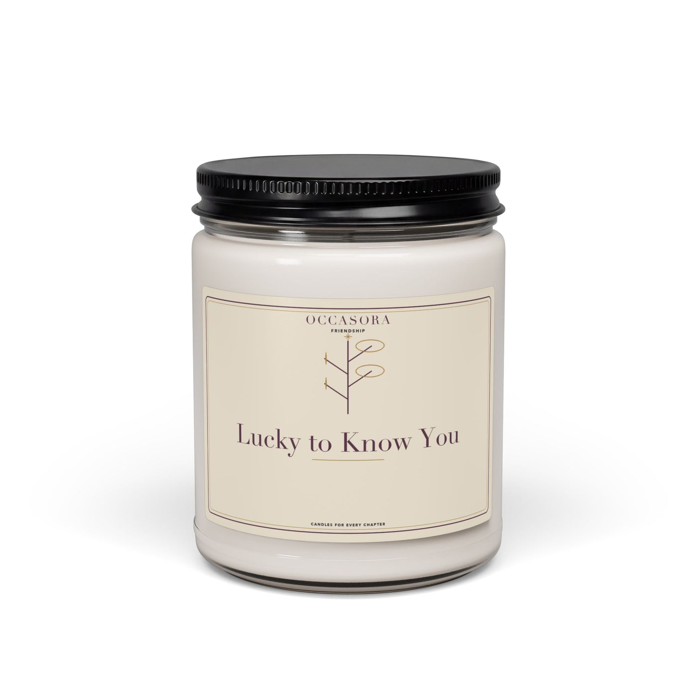 Occasora 'Lucky to Know You' friendship candle, 9 oz soy wax blend in a reusable glass jar