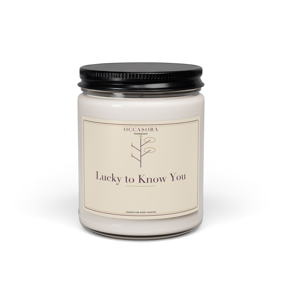 Occasora 'Lucky to Know You' friendship candle, 9 oz soy wax blend in a reusable glass jar